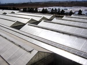Application_Greenhouse-1-300x225