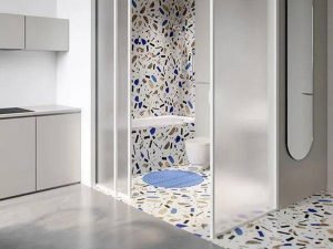 Frosted-Bathroom-Wall-300x225
